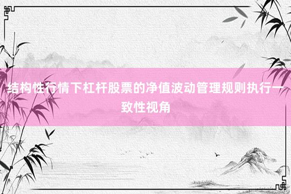 结构性行情下杠杆股票的净值波动管理规则执行一致性视角