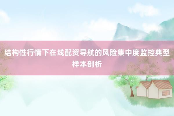 结构性行情下在线配资导航的风险集中度监控典型样本剖析